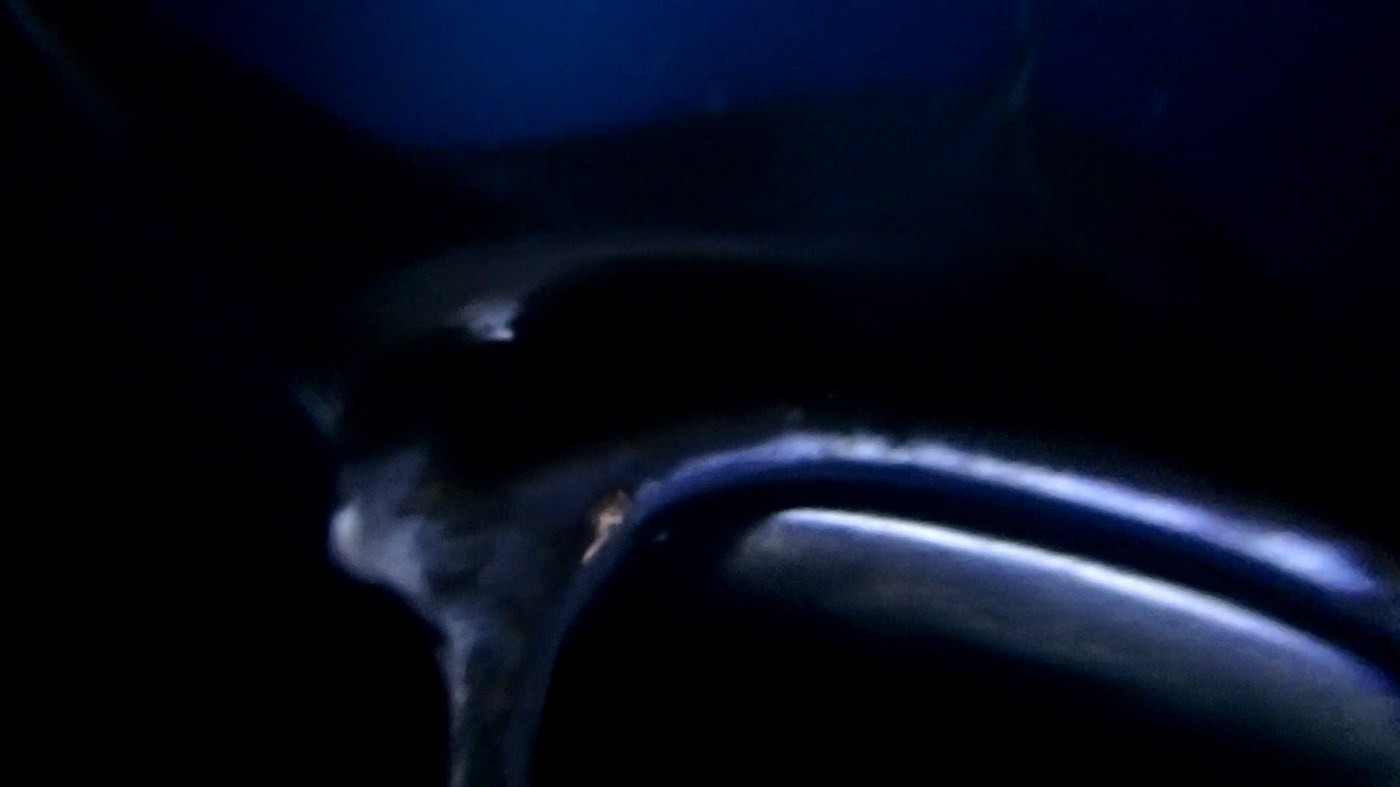 Giant oceanic manta ray encounter during dive in Hawaii off the coast of Kona