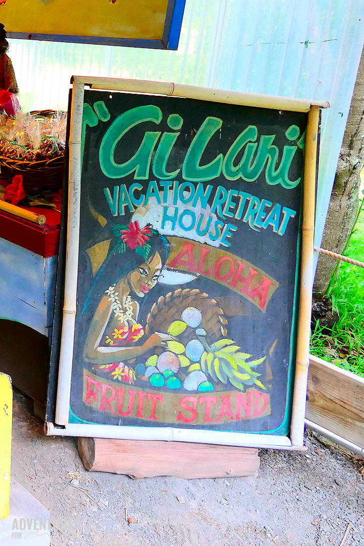 HAWAII MACADAMIA PIN