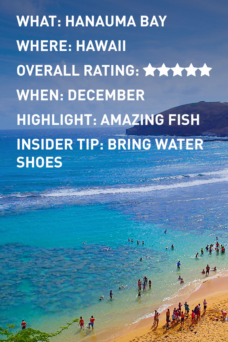 HAWAII HANAUMA BAY INFOGRAPHIC