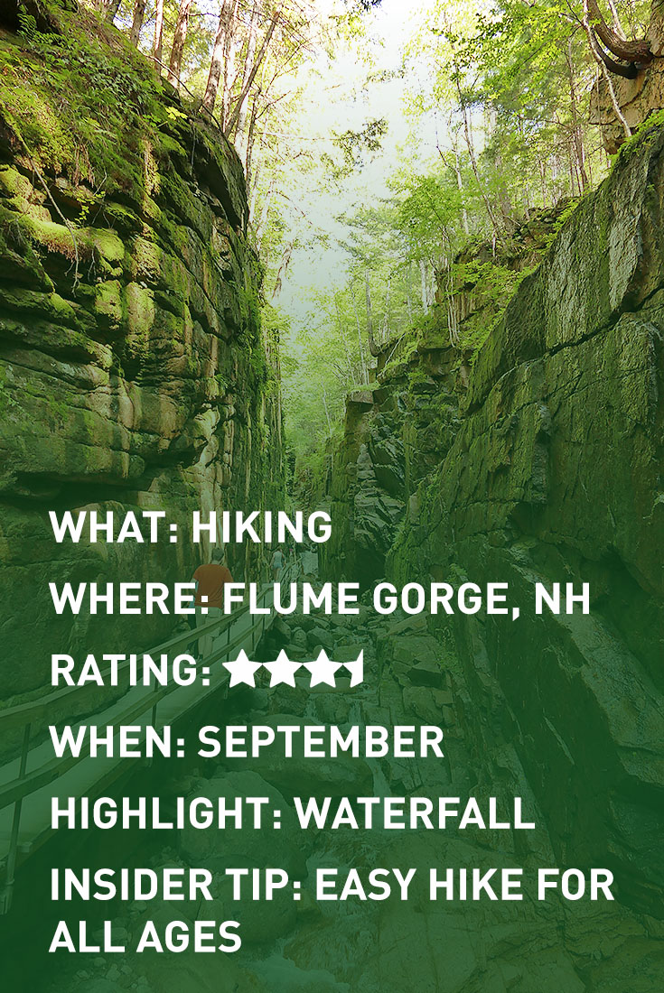 FLUME GORGE infographic
