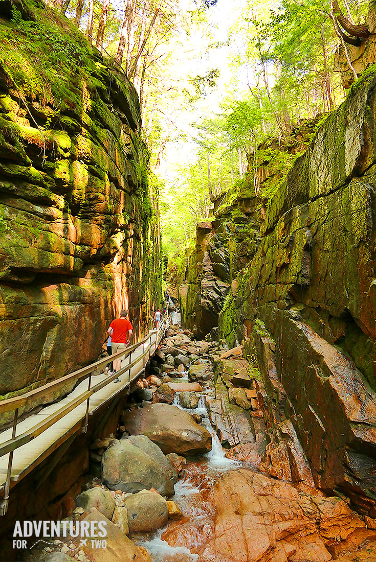 FLUME GORGE PIN
