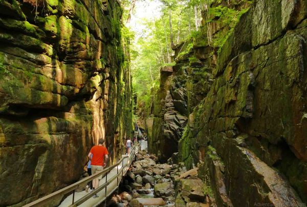 Flume Gorge Franconia Park NH