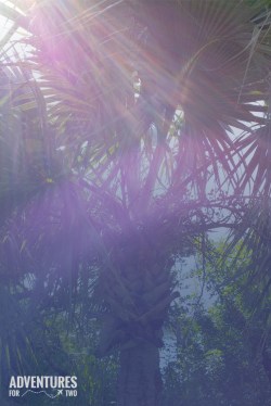 BERMUDA FAIRMONT PIN 1