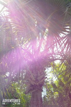 BERMUDA FAIRMONT PIN 2