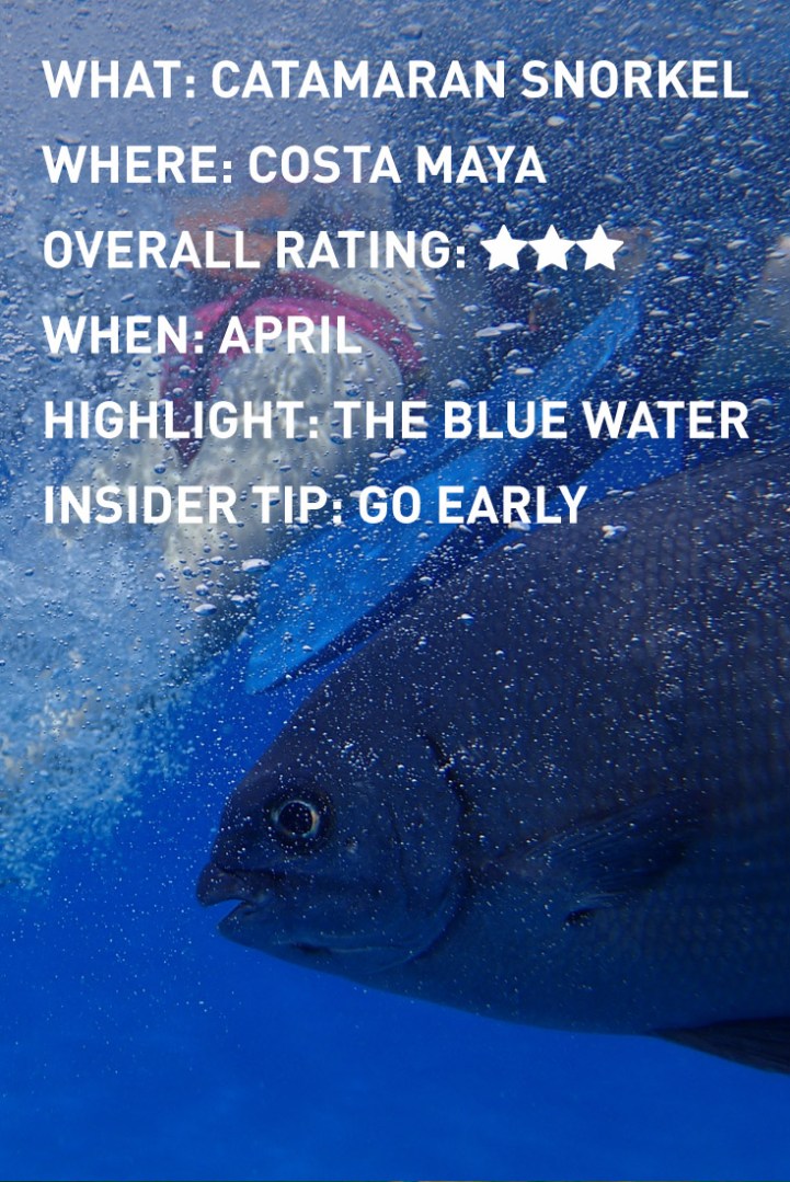 costa maya INFOGRAPHIC