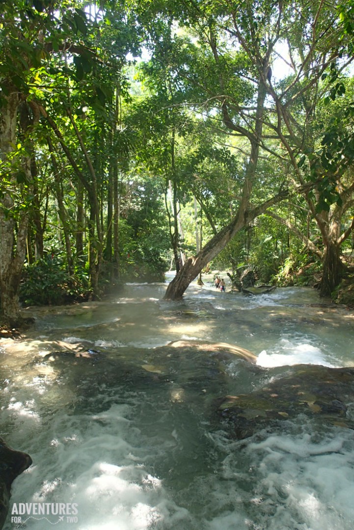 DUNNS RIVER FALLS PIN