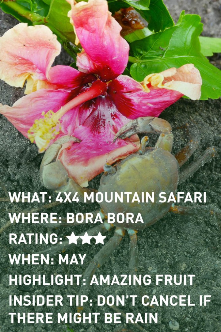 bora-bora-safari-infographic