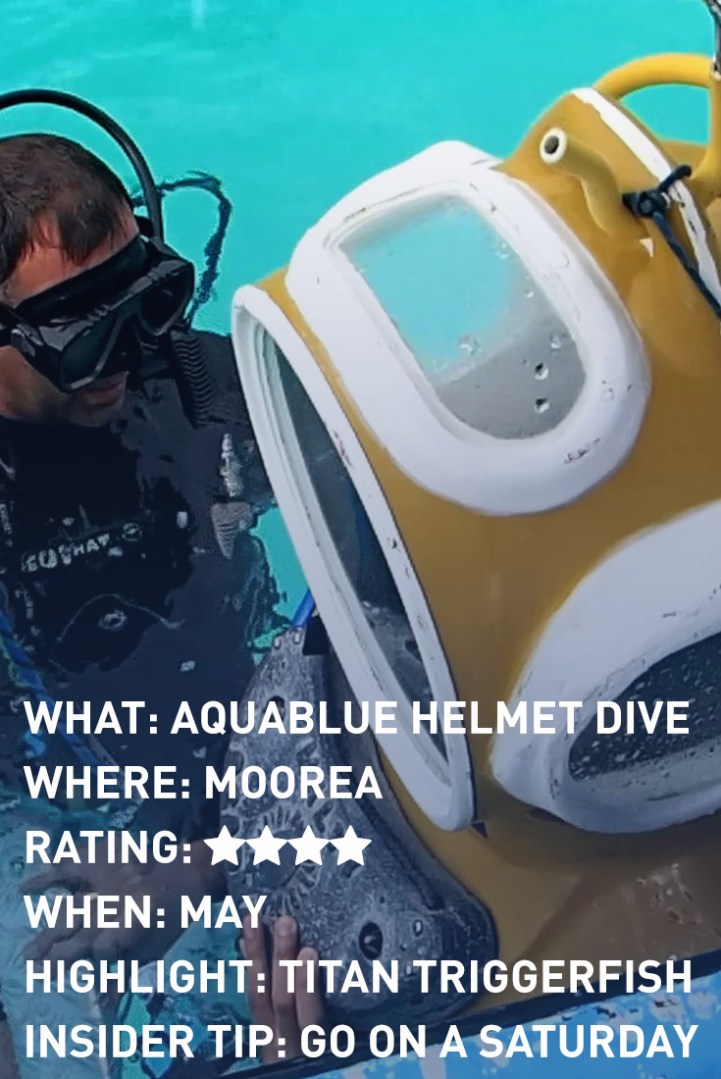 moorea-aquablue-infographic-template-bottom